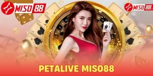 Petalive Miso88 - Sảnh Cược Đẳng Cấp Hàng Đầu Châu Á