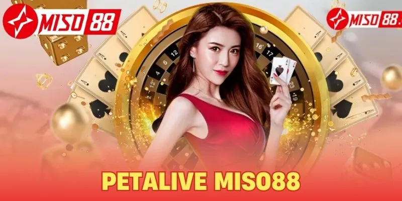 Petalive Miso88 - Sảnh Cược Đẳng Cấp Hàng Đầu Châu Á