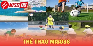 Thể Thao Miso88 - Sảnh Cược Giải Trí Đẳng Cấp Quốc Tế