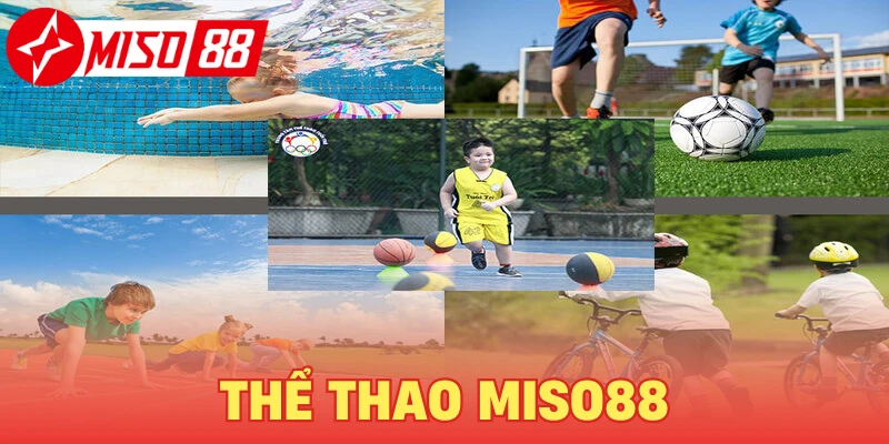 Thể Thao Miso88 - Sảnh Cược Giải Trí Đẳng Cấp Quốc Tế