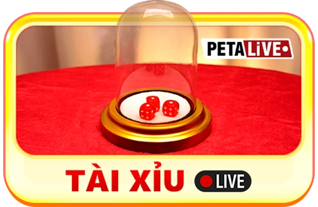 Trò chơi Tàu xỉu Live MISO88